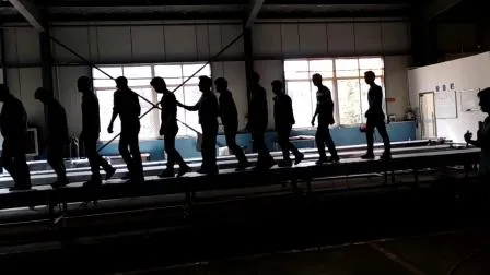 Sistema transportador recto Hairise para la industria de alimentos y bebidas con certificado ISO