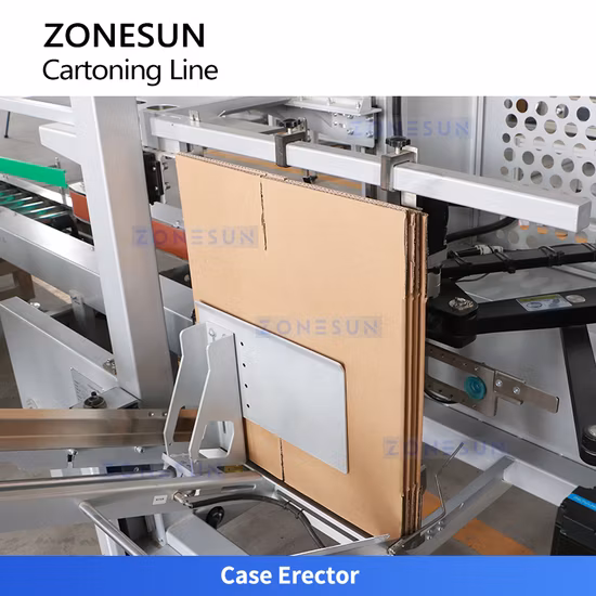 Zonasun Zs