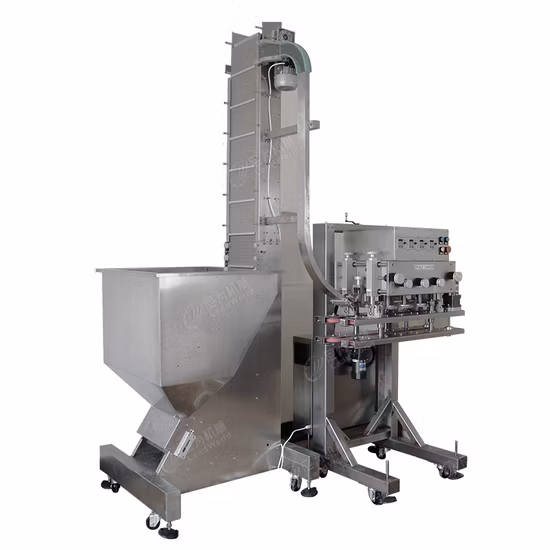 Línea automática de producción de frijoles, champiñones, pepinos y rábanos enlatados, frutas y verduras